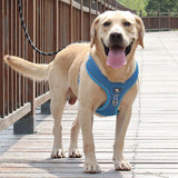 Reflective Dog Harness with Leash — Adjustable, XL–3XL, 150cm Lead view 3