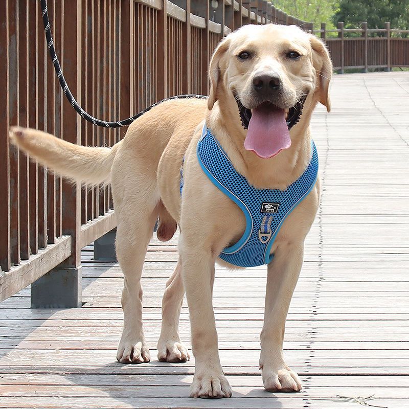 Reflective Dog Harness with Leash — Adjustable, XL–3XL, 150cm Lead