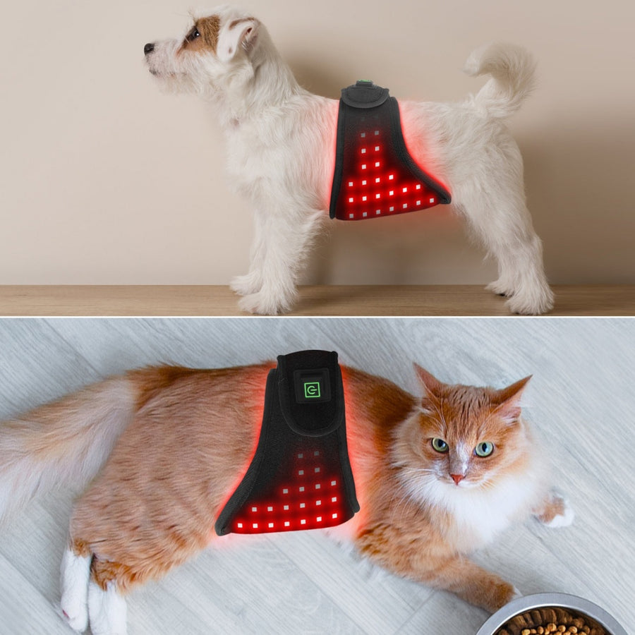 Pet Red Light Therapy Belt — USB-Charged Infrared Wrap for Daily Pain Relief