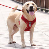 Reflective Dog Harness with Leash — Adjustable, XL–3XL, 150cm Lead view 2