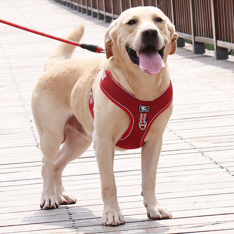 Reflective Dog Harness with Leash — Adjustable, XL–3XL, 150cm Lead