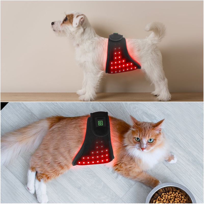 Pet Red Light Therapy Belt — USB-Charged Infrared Wrap for Daily Pain Relief