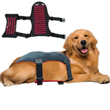 Pet Red Light Therapy Belt — 168 LEDs for Joint, Back & Tissue Repair (Dogs & Cats) view 5