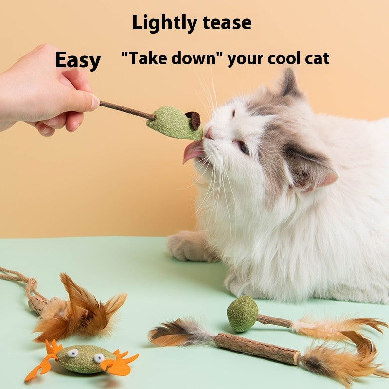 Catnip Plush Cat Toys — Fish, Frog, Rat & Lobster Shapes, PP Cotton Fill