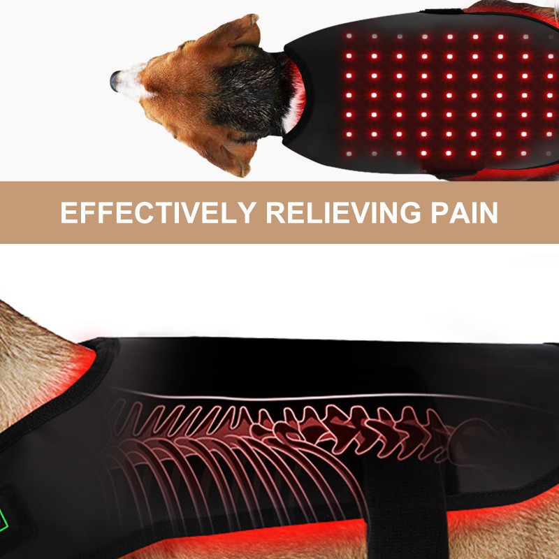 Pet Red Light Therapy Wand — Wireless Portable Infrared with Built-In Timer