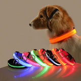LED Dog Collar USB Rechargeable — Adjustable Safety Collar, XS–XL Sizes view 6