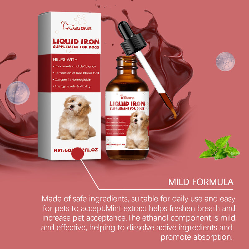 Herbal Digestive Care Syrup for Dogs — Mint & Herb Blend, 60ml