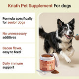 Immune Mushroom Powder for Dogs — Turkey Tail, Reishi & Probiotic Blend, 100g view 3