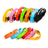 LED Dog Collar USB Rechargeable — Adjustable Safety Collar, XS–XL Sizes view 3