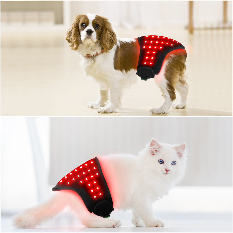 Pet Red Light Therapy Belt — USB-Charged Infrared Wrap for Daily Pain Relief