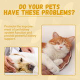 Herbal Energy & Vitality Drops for Dogs & Cats — Dandelion Root, 60ml view 5