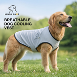 Dog Cooling Vest — Breathable Evaporative Cooling, S–L, Pink & Blue view 1
