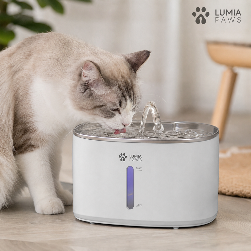 Cat Water Fountain Dispenser — 3.2L Filtered Flowing Water, USB / EU / US Plug