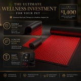 Red Light Therapy Mat — 5 Levels, 9 Timers & Heat for Full-Body Pain Relief view 5