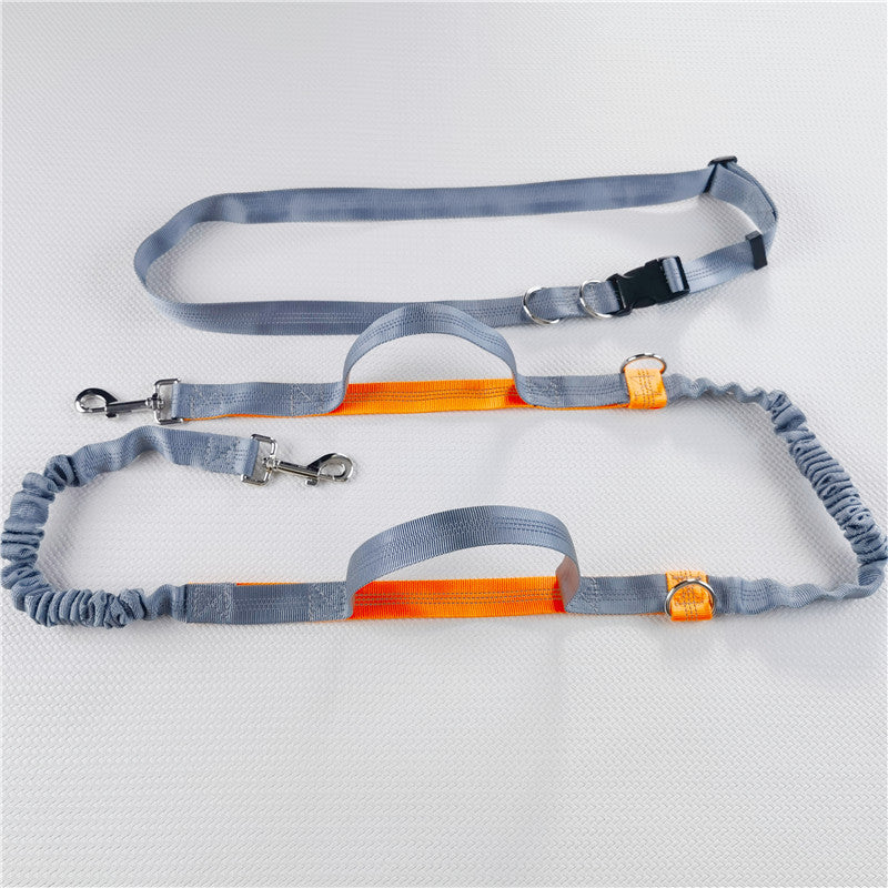 hands-free leash for dogs and cats - alternate product angle