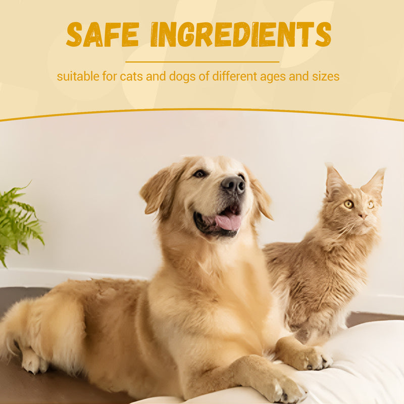 Herbal Energy & Vitality Drops for Dogs & Cats — Dandelion Root, 60ml