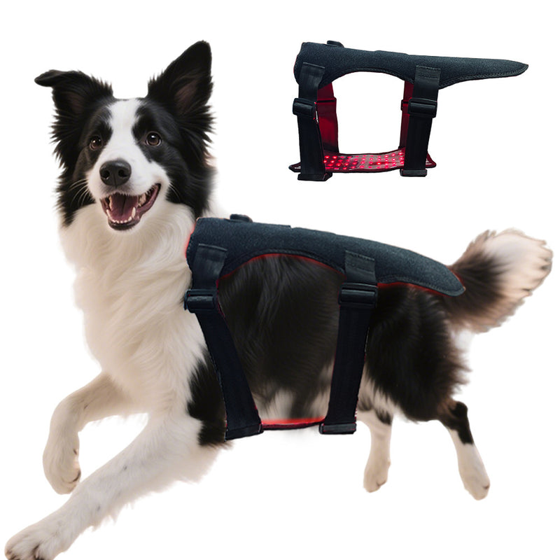 Pet Red Light Therapy Belt — 168 LEDs for Joint, Back & Tissue Repair (Dogs & Cats)