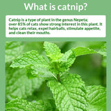 Catnip Snacks for Cats — Hairball Control & Oral Health, 1g Natural Fiber Bags view 3