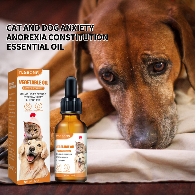 Omega Seed Oil Supplement for Dogs & Cats — Cold-Pressed Fatty Acids, 30ml