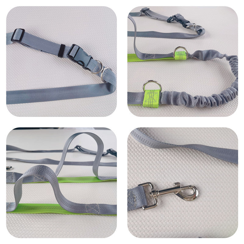 hands-free leash for dogs and cats - close-up product detail