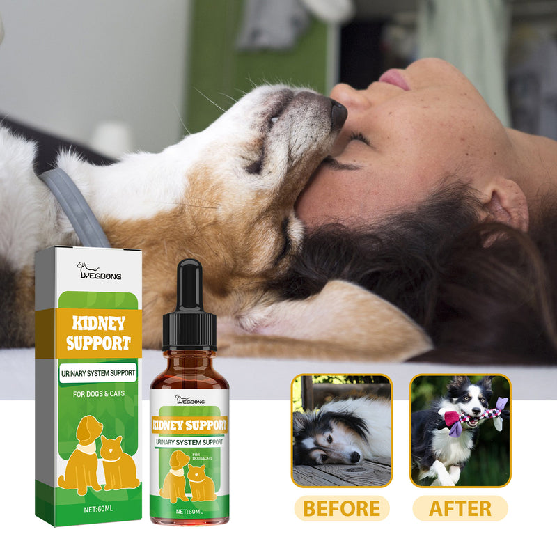 Herbal Energy & Vitality Drops for Dogs & Cats — Dandelion Root, 60ml