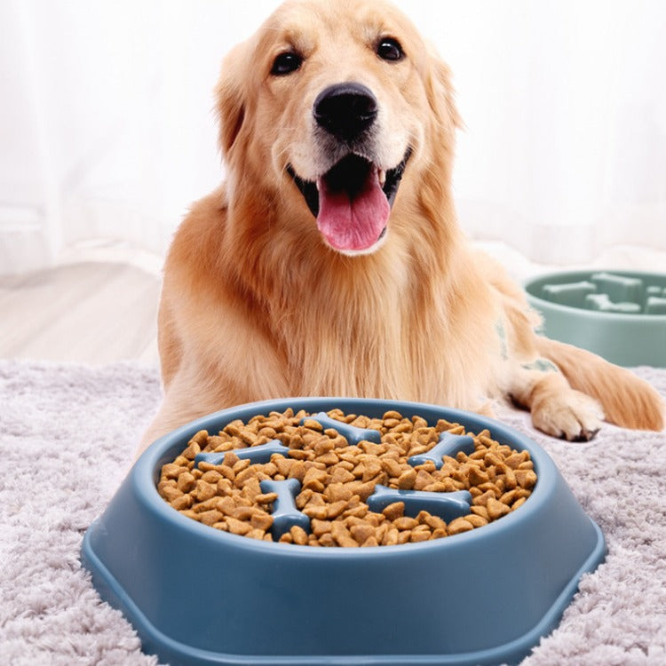 Slow Feeder Dog & Cat Bowl — Anti-Bloat Non-Slip, Navy / Green / Yellow