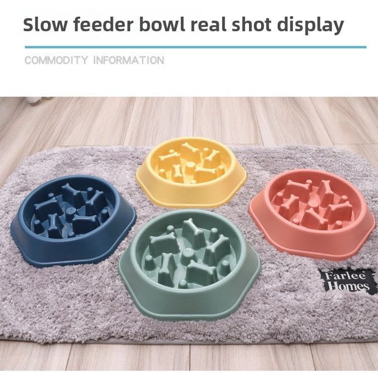 slow feeder pet bowl - feature and design view