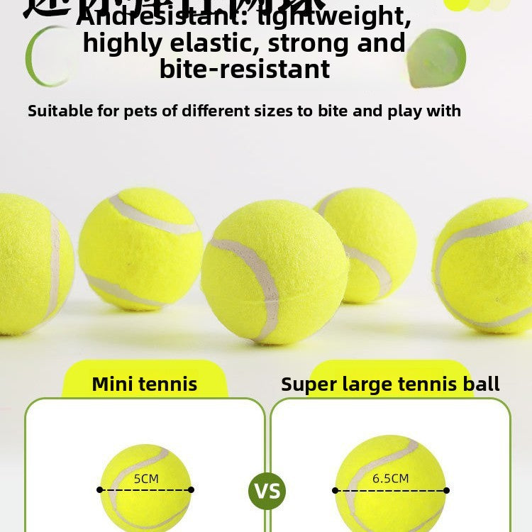 pet ball throwing machine launcher - size and variant options shown