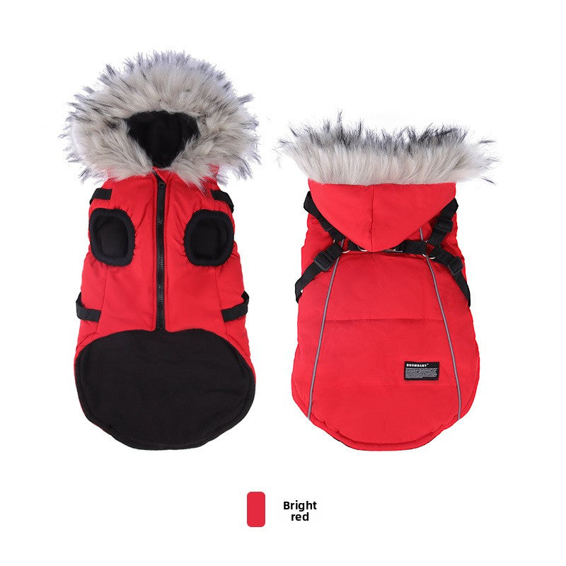 Pet Cotton Coat for Small Dogs & Cats — Windproof Jacket, S–L, 3 Colours