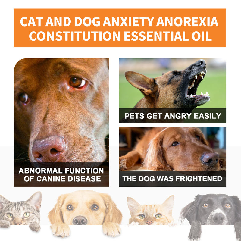 Omega Seed Oil Supplement for Dogs & Cats — Cold-Pressed Fatty Acids, 30ml