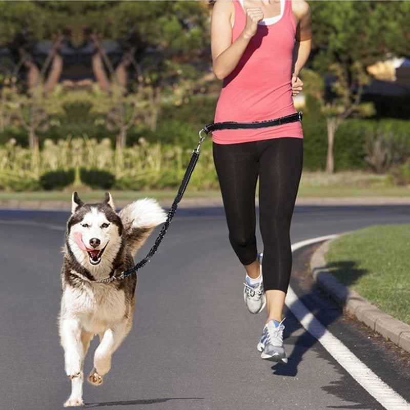 hands-free leash for dogs and cats - premium pet accessory from Lumia Paws