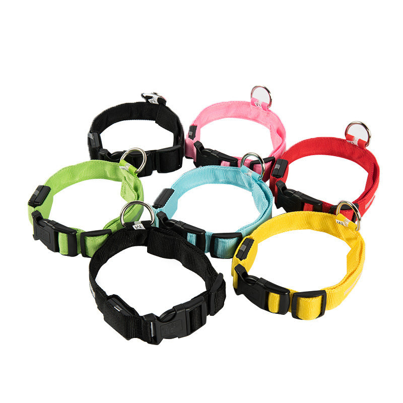 adjustable led dog collar with usb charging - feature and design view