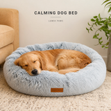 Calming Anti-Anxiety Dog Bed — Round Plush Donut, 70cm & 100cm, 2 Colours view 1