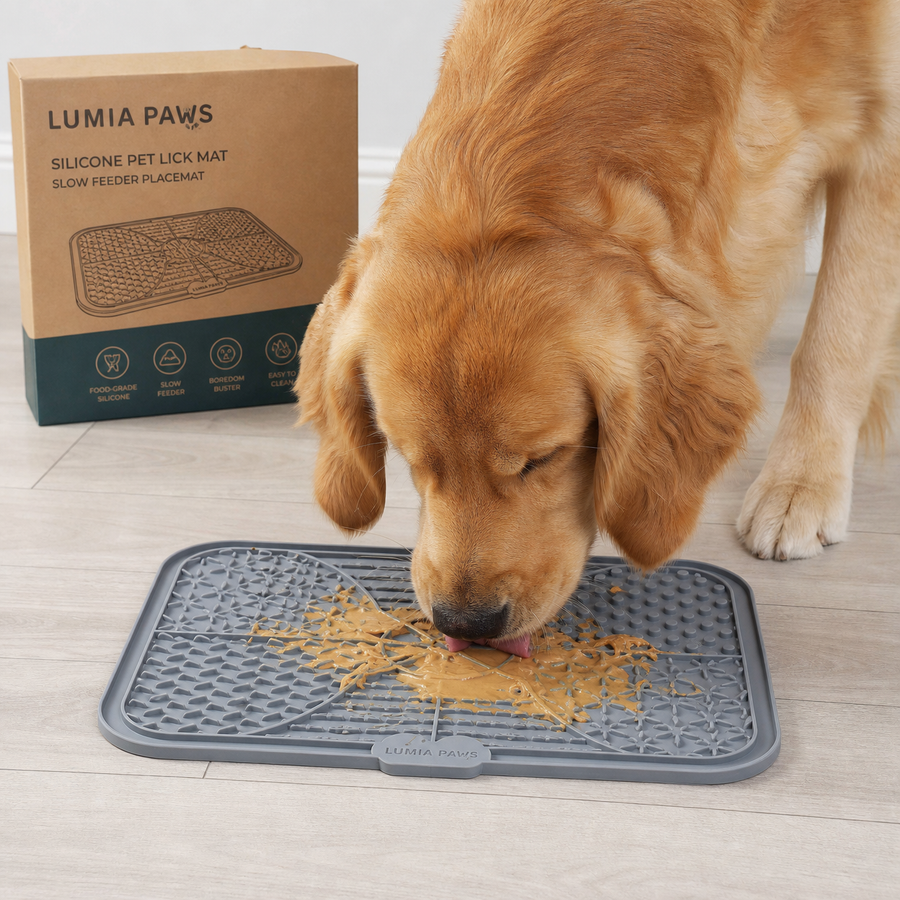 Silicone Lick Mat Slow Feeder for Dogs & Cats — 5 Shapes, 5 Colours