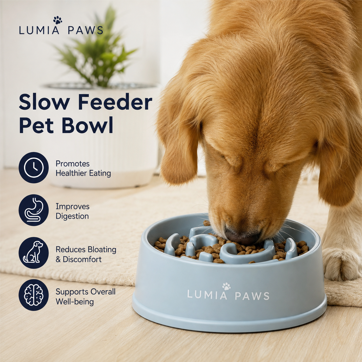 Slow Feeder Dog & Cat Bowl — Anti-Bloat Non-Slip, Navy / Green / Yellow